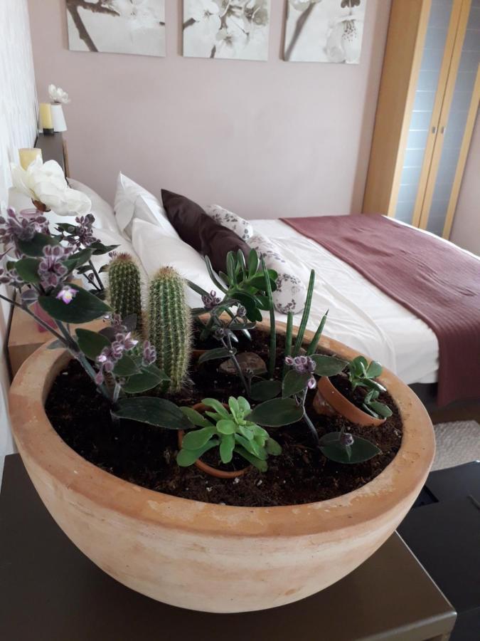 Leut Apartment Корчула Екстер'єр фото